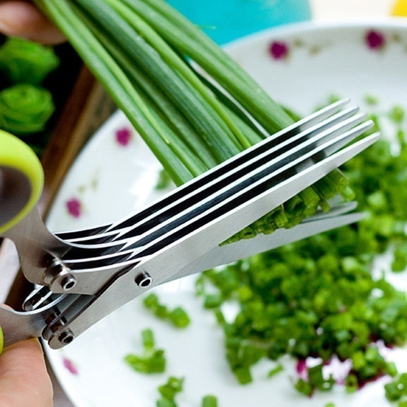 Muti Layers Stainless Steel Kitchen Scissors - Scallion Cutter